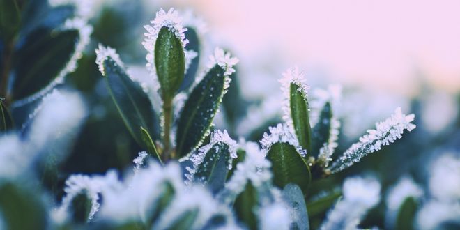 Desteklemeler Ödendi!